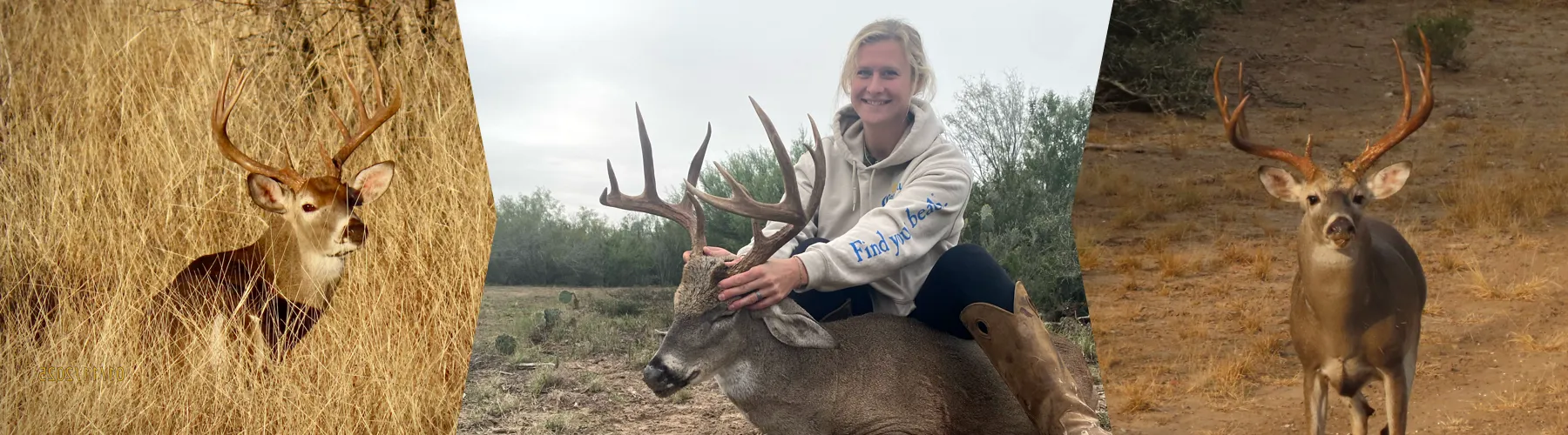 Whitetail Deer Hunting Lazy H